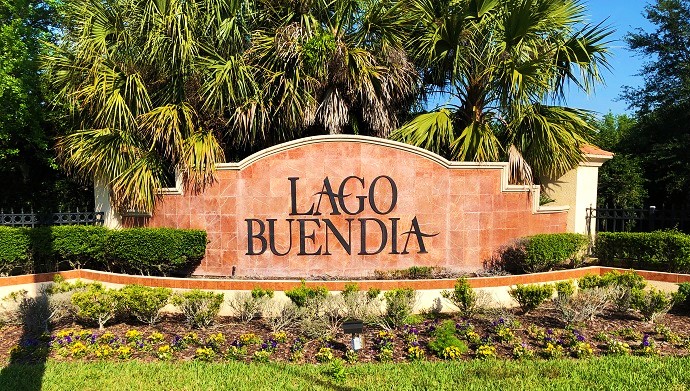 Lago Buendia Homes For Sale
